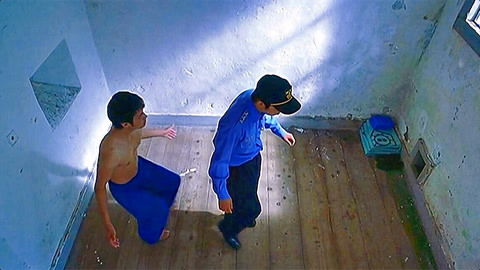 兔子镇的火狐狸