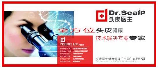 兔子镇的火狐狸