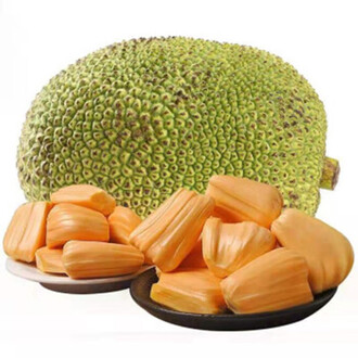 光晕4:航向黎明号