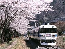 冒牌家庭(粤语版)