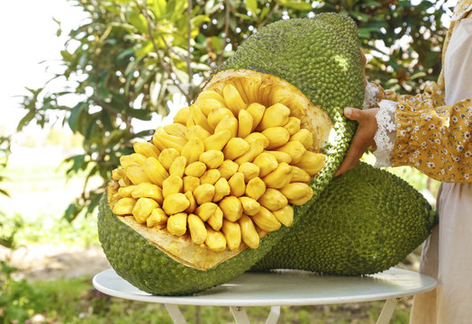 克利夫顿山失踪案