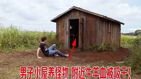 克利夫顿山失踪案